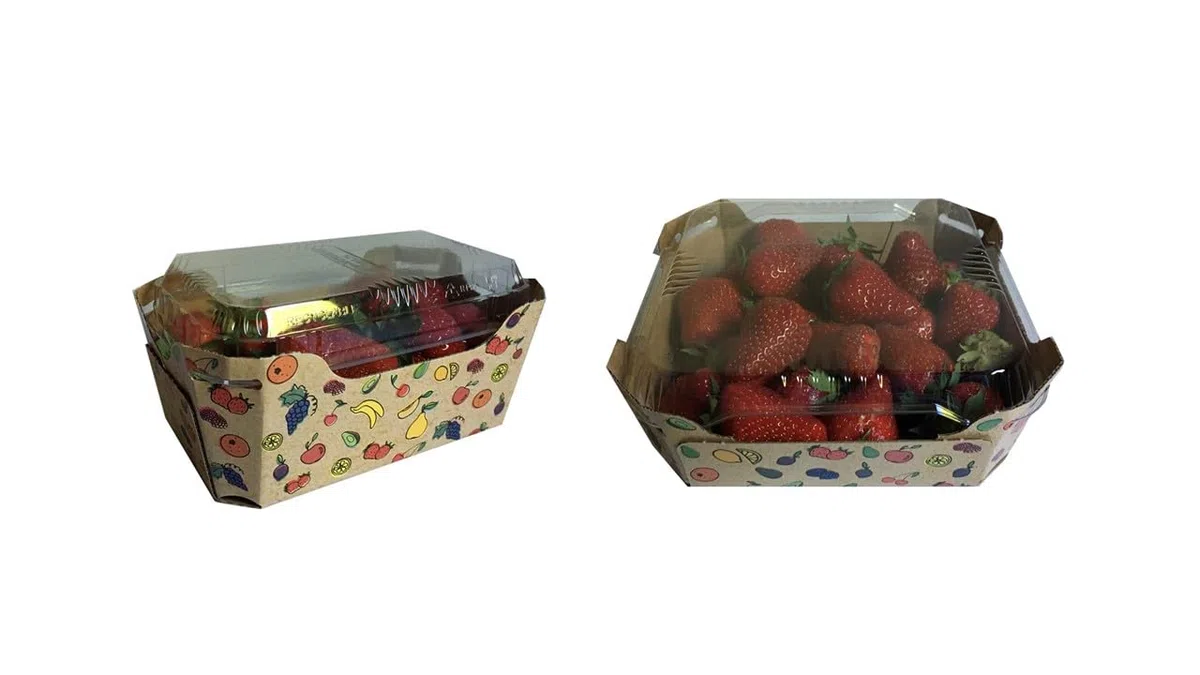Cestini in cartoncino frutta 500gr / 1kg con o senza coperchio PET ideali per ortofrutta Vaschette in cartone fantasia frutti (80 Quadrati 1kg solo base)