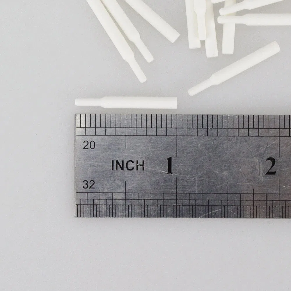 Earlywish 100 cerchi in ceramica di Zirconia per vassoi di tiro a nido d'ape per laboratorio dentale